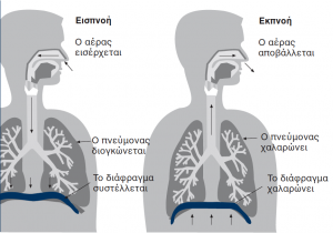 αναπνευστικόοο